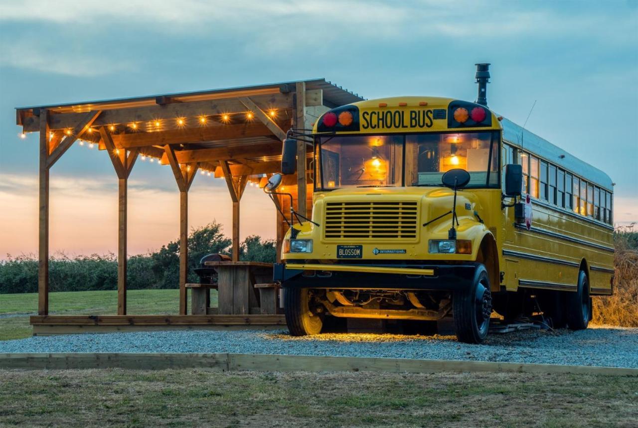 American School Bus - 1 Bedroom - Blossom Farm - Tiers Cross Johnston Bagian luar foto